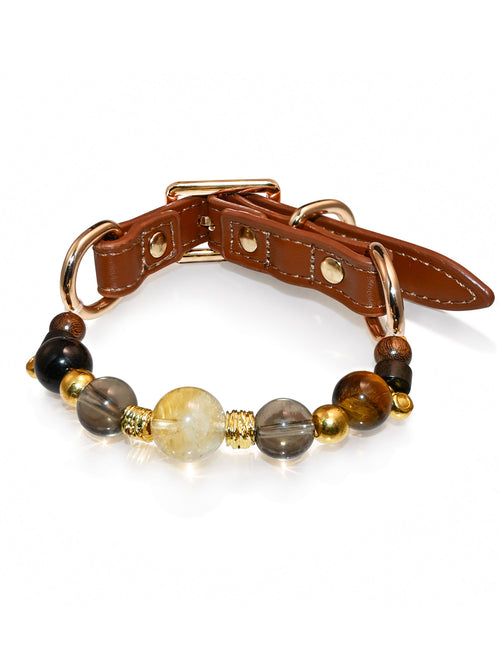 SoulBond Crystal Beaded Pet Collar with a brown strap, pale yellow and smoky brown beads and gold-tone hardware