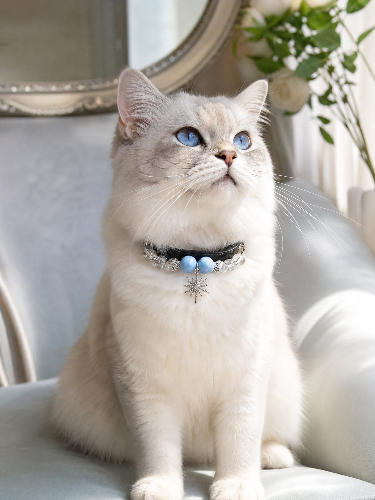 Light-colored cat sitting on a chair wearing a SoulBond Elegant Princess Crystal Pet Collar with blue beads