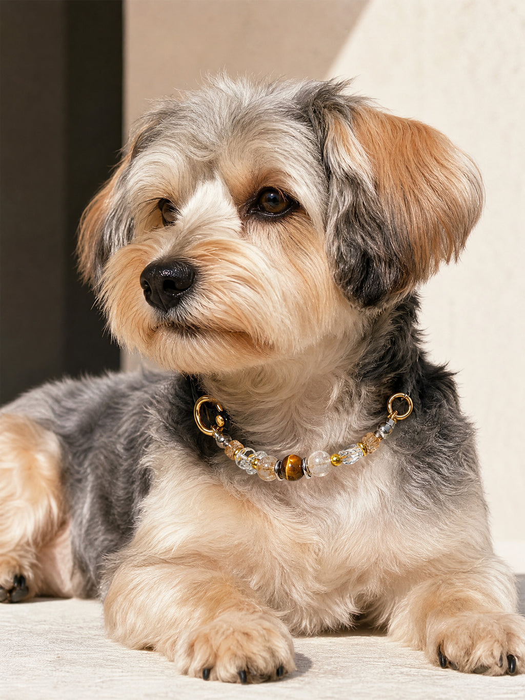 Gray and tan dog wearing a SoulBond Vintage Beaded Crystal Pet Collar with brown and clear beads
