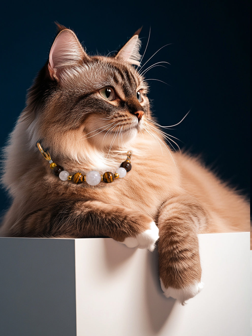 Long-haired brown tabby cat wearing a SoulBond Old Money Crystal Beaded Cat Collar while resting on a white ledge
